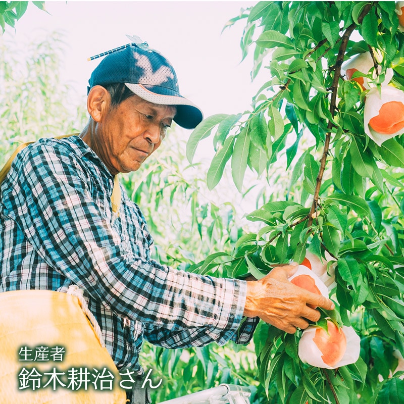 予約販売）【送料込】限定100セットのスペシャル産直！『福島県国見町