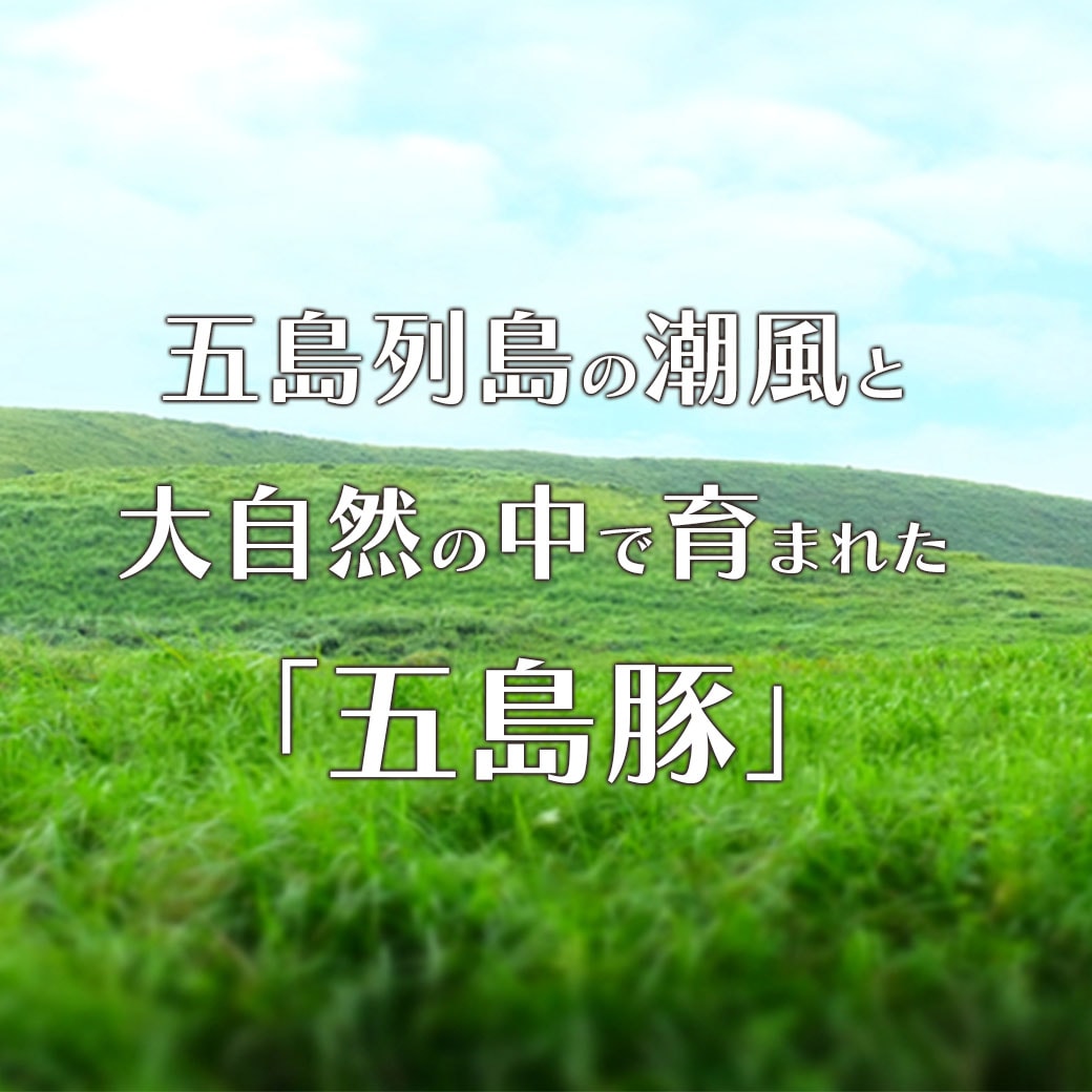 長崎県五島産）ブランド豚『美豚』薄切りセット1.0kg（ロース・バラ