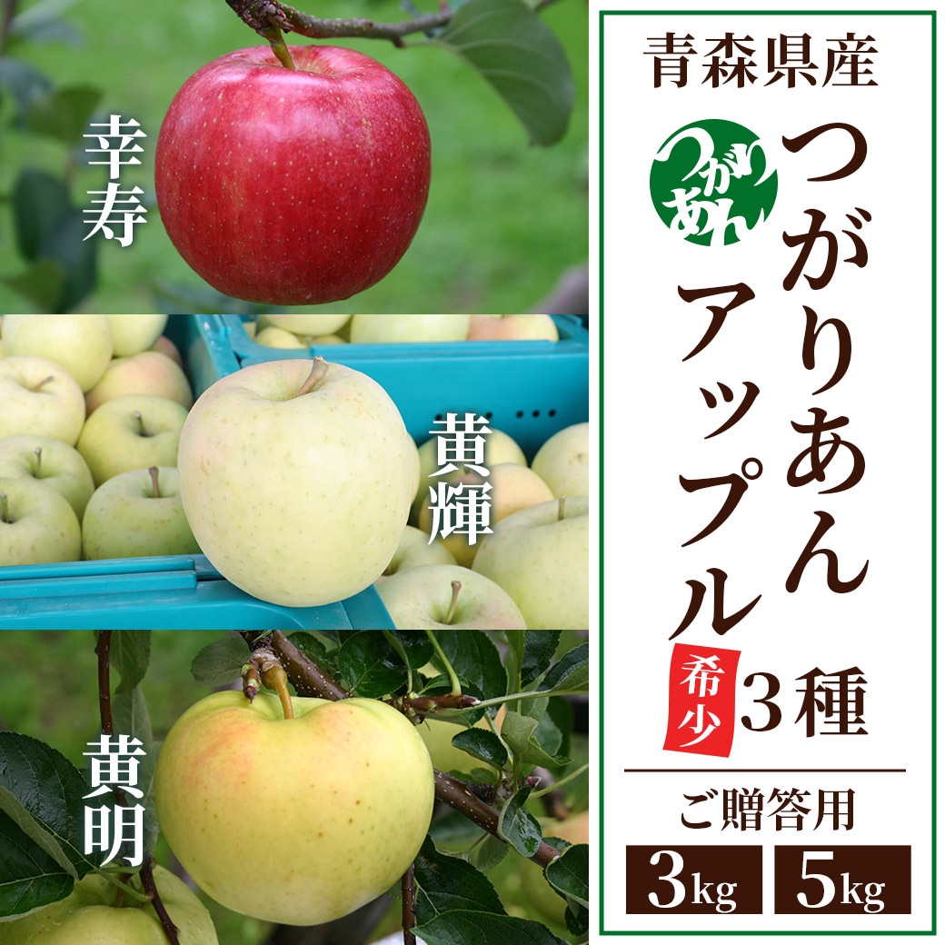 今季初りんご！青森県りんご『希少品種食べ比べセット』（つがりあん