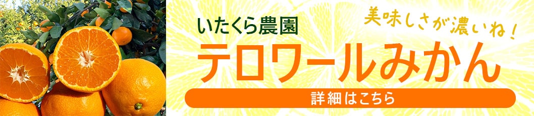 テロワールみかん