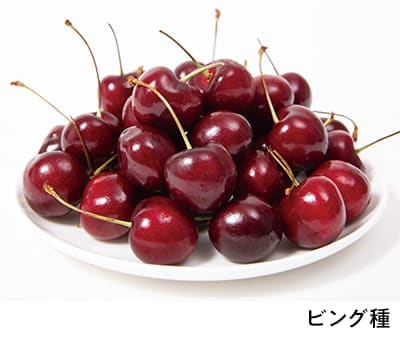 ビング種（Bing Cherry）