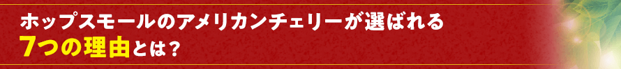 ホップスのアメリカンチェリーが選ばれる7つの理由とは？