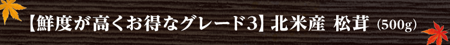 【鮮度が高くお得なグレード3】北米産 松茸（500g）