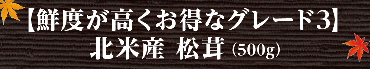 【鮮度が高くお得なグレード3】北米産 松茸（500g）