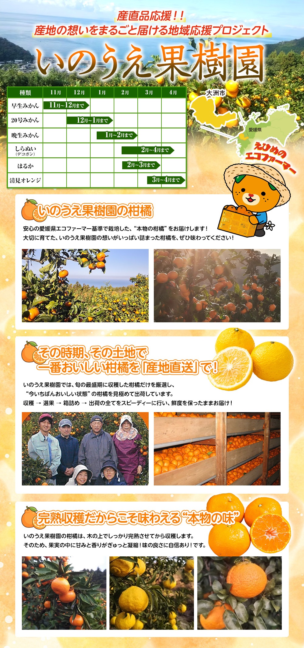 いのうえ果樹園 特集