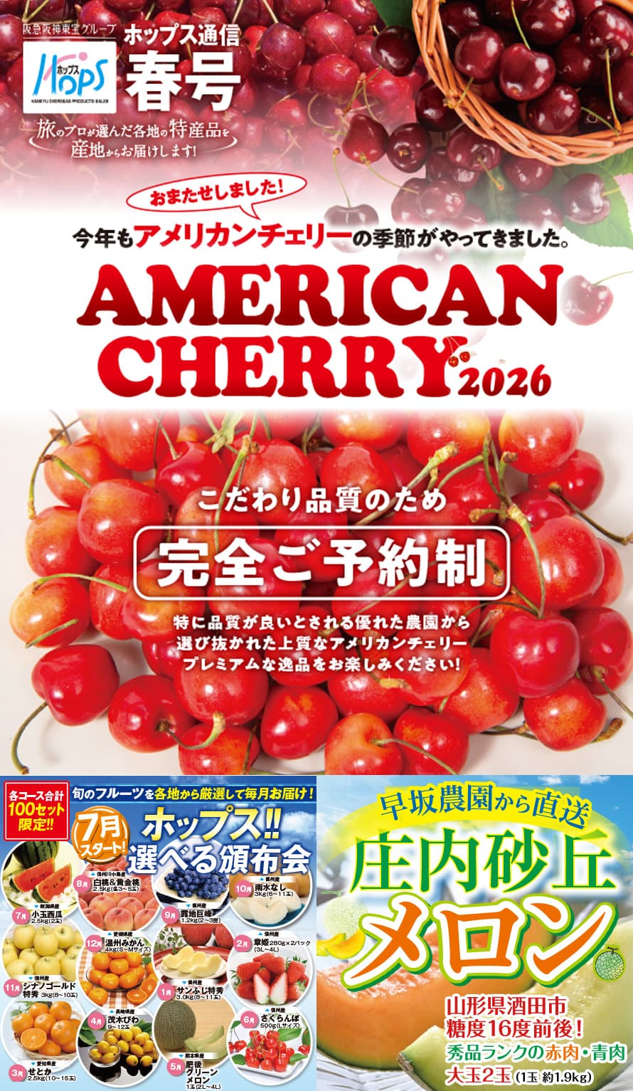 アメリカンチェリーとフルーツ・スイーツ特集