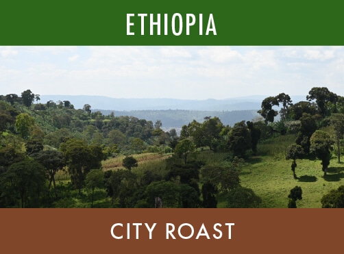 �����٥ǥå�C