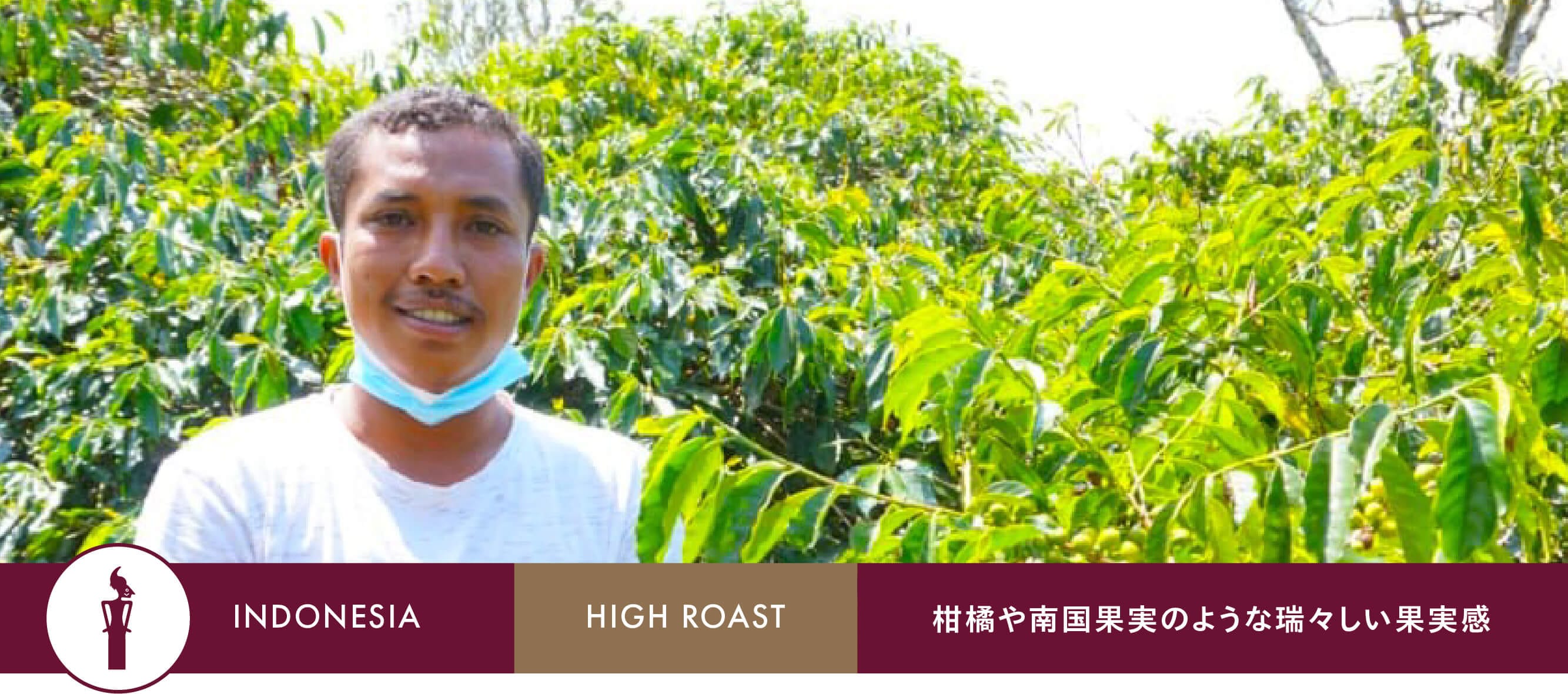 ����ɥ󥨥��ơ���H