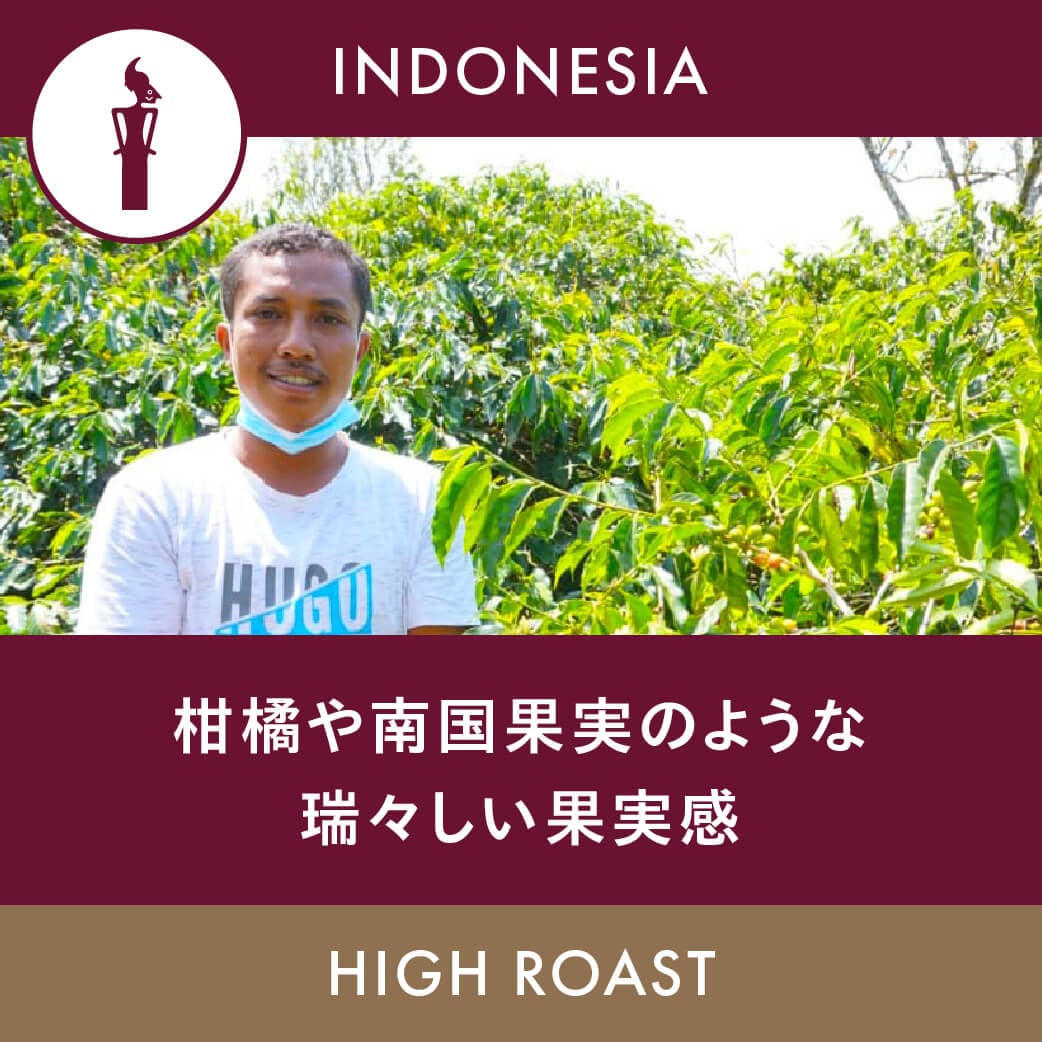 ����ɥ󥨥��ơ���H