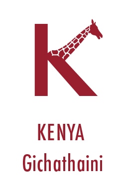 �����㥵����F