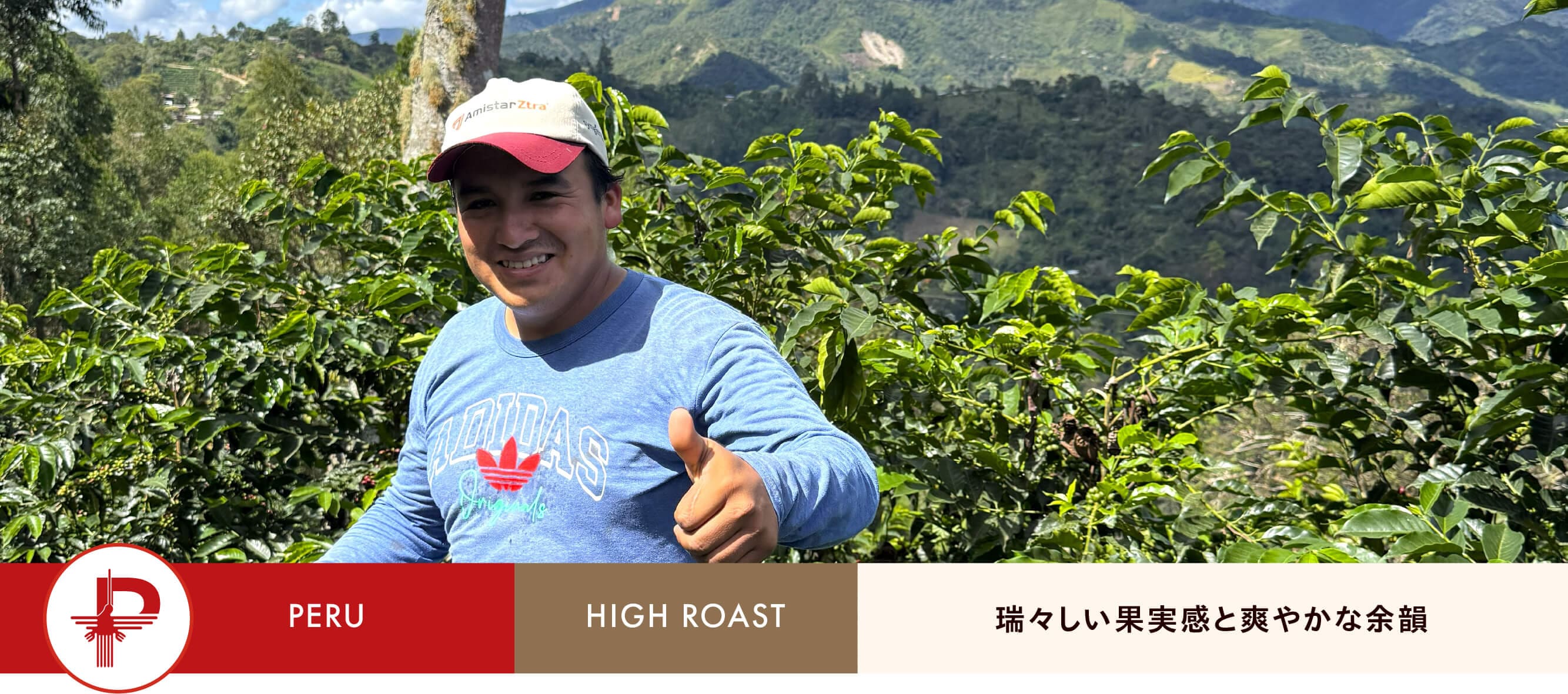 �����롦�ͥ���