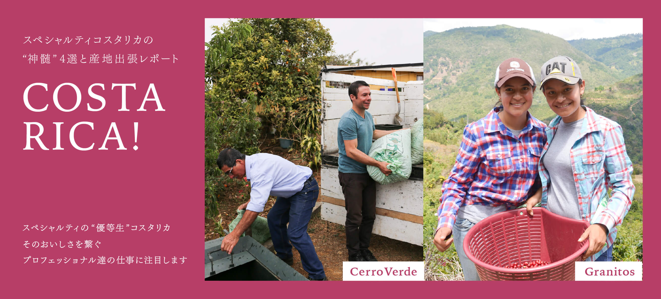 �������ꥫ�ý�