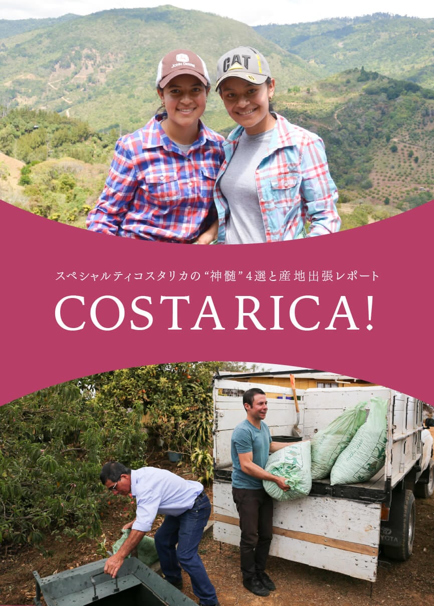 �������ꥫ�ý�