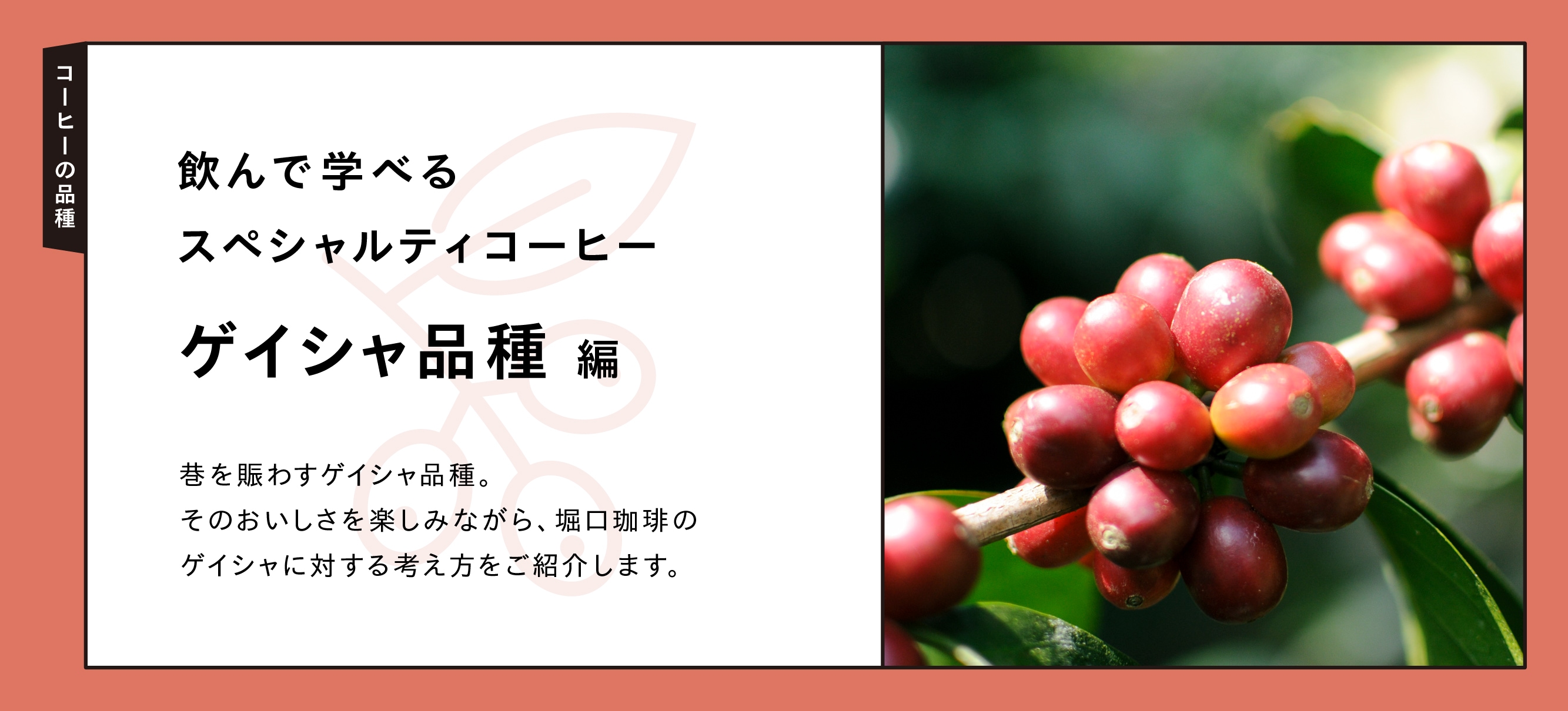 ����ǳؤ٤륹�ڥ����ƥ������ҡ� ����������