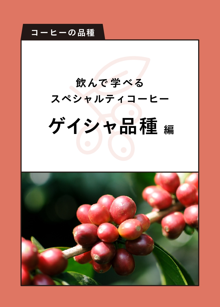 ����ǳؤ٤륹�ڥ����ƥ������ҡ� ����������