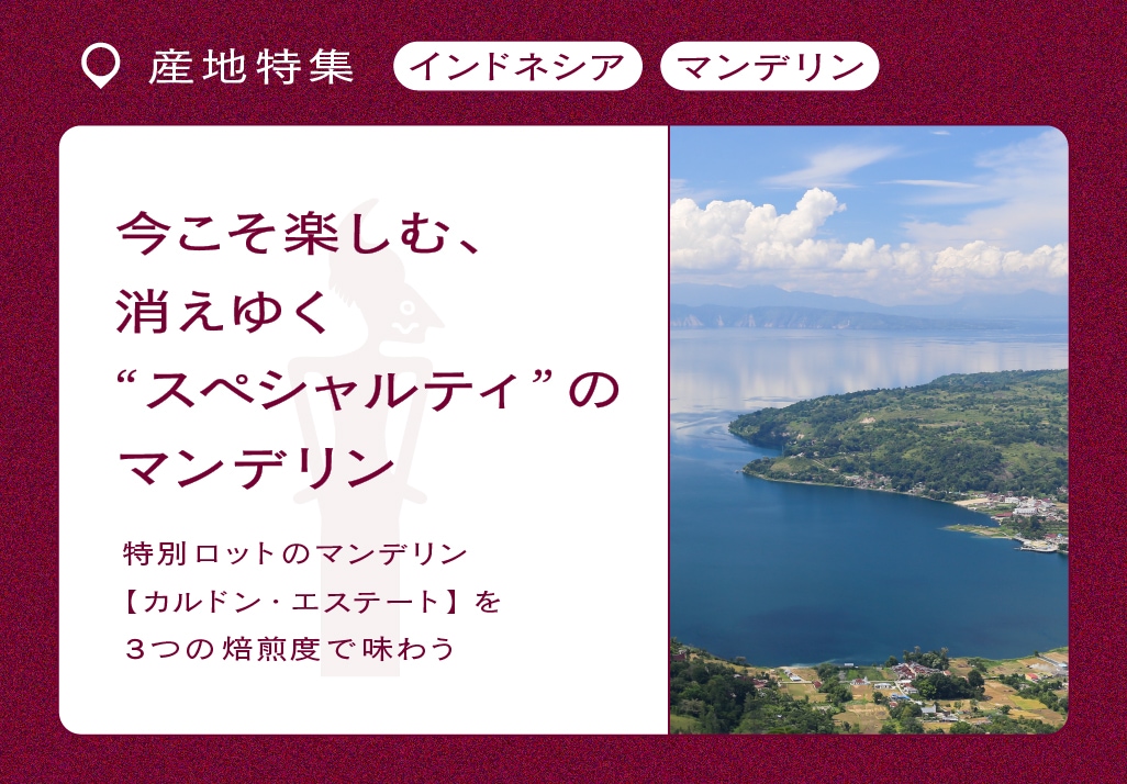 �ޥ�ǥ���ý�