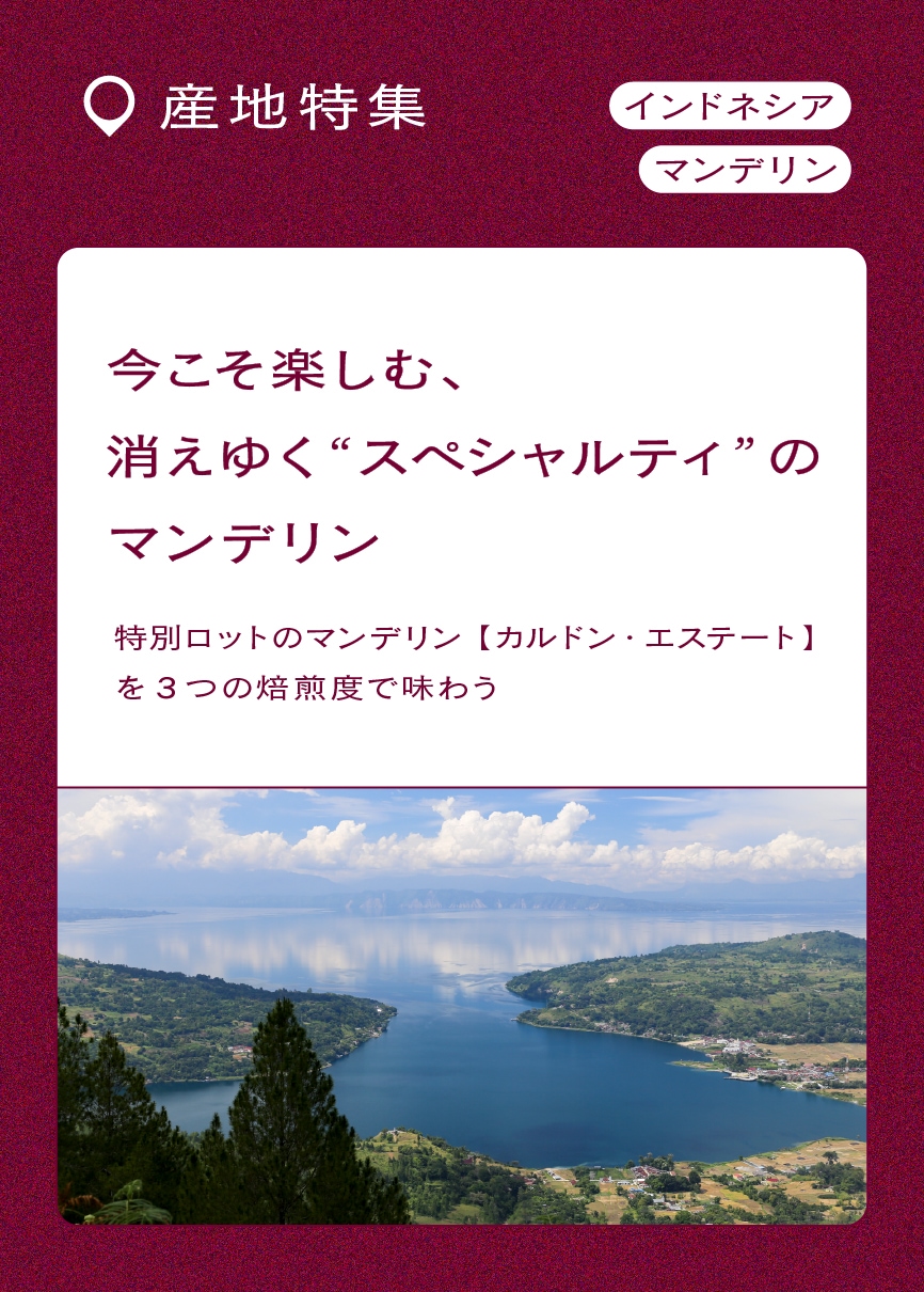 �ޥ�ǥ���ý�