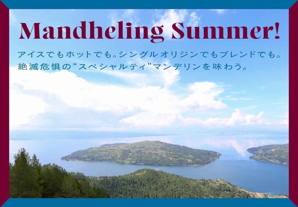 �ޥ�ǥ��