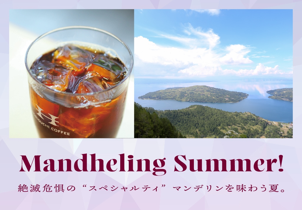 �ޥ�ǥ���ý�