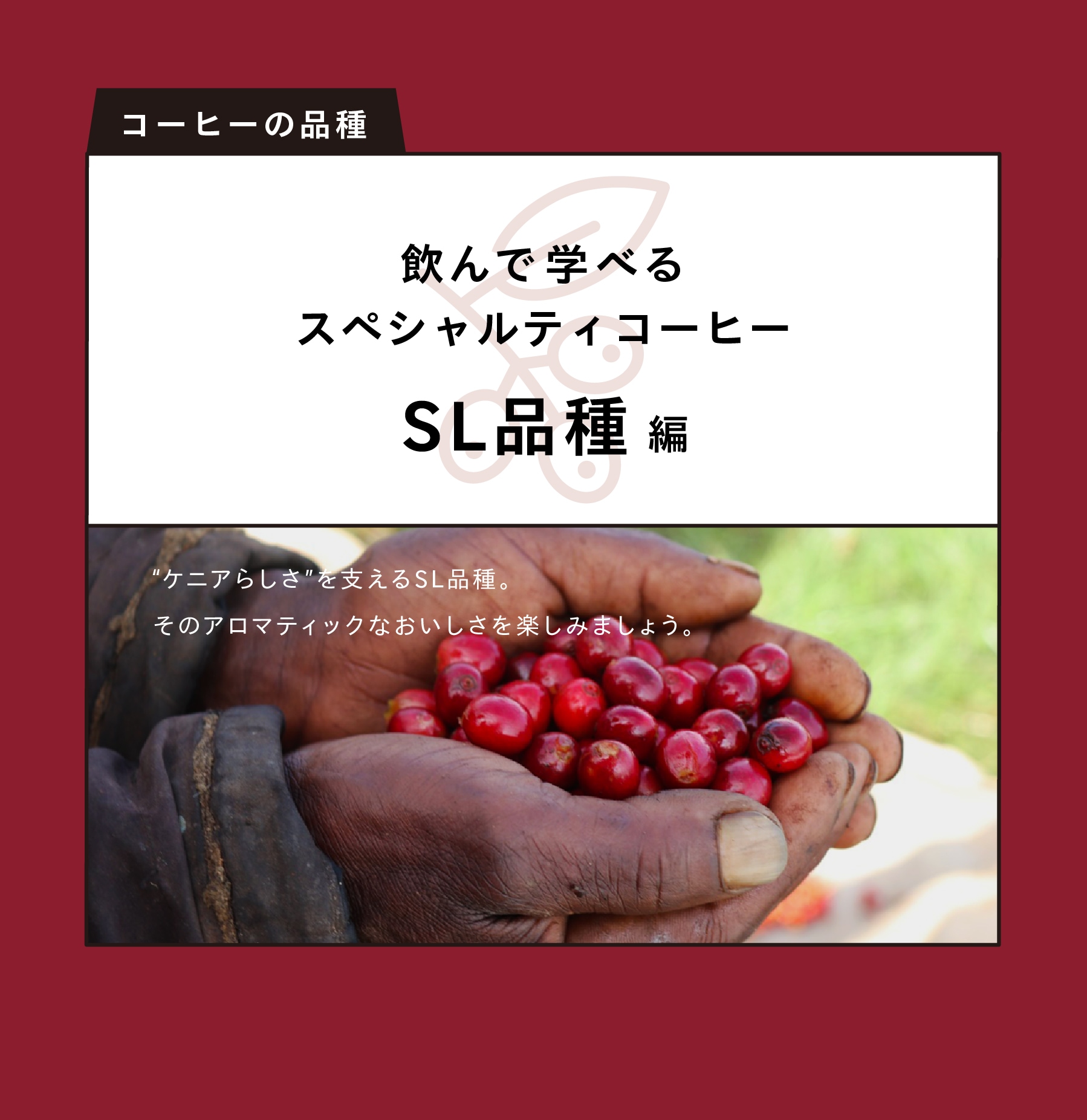 堀口珈琲オンラインストア