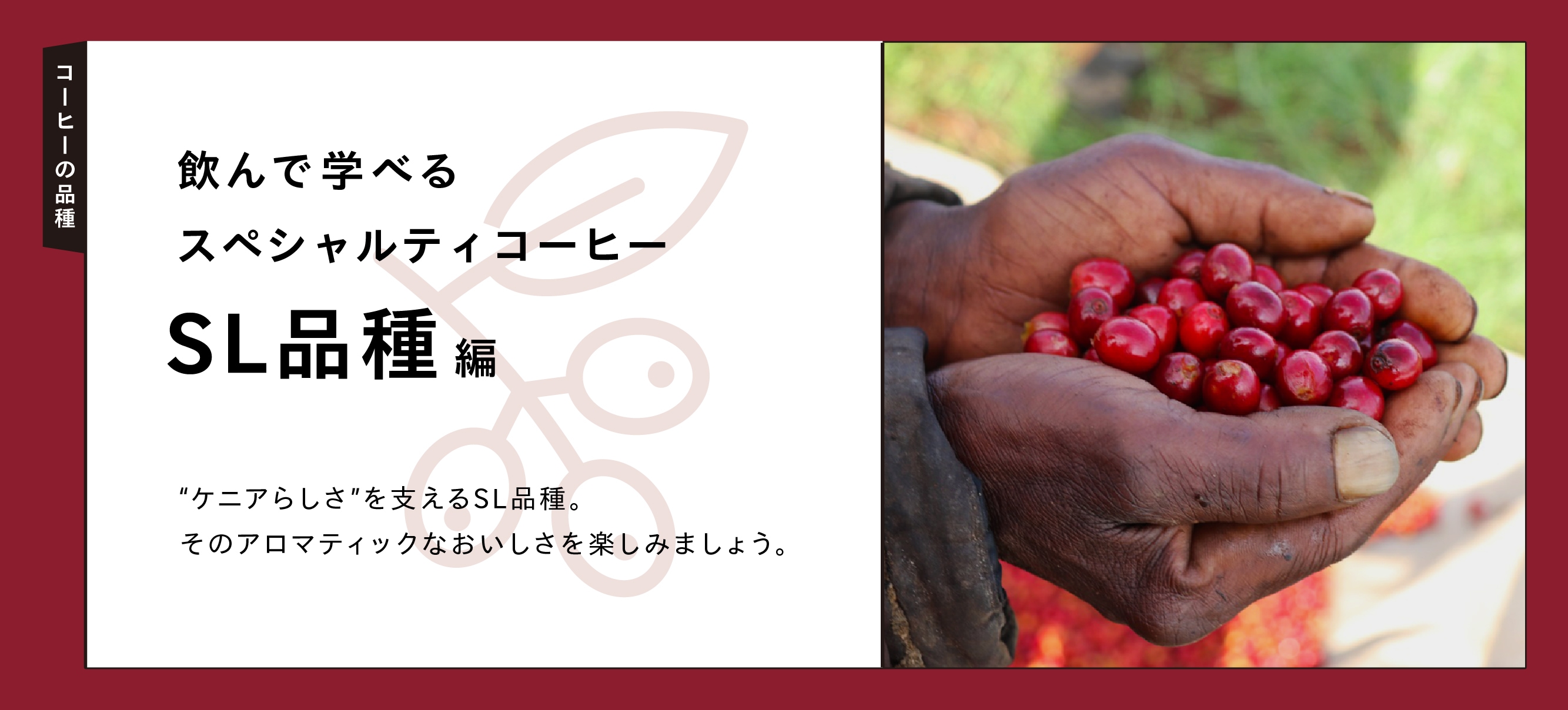 ����ǳؤ٤륹�ڥ����ƥ������ҡ� SL�ʼ���