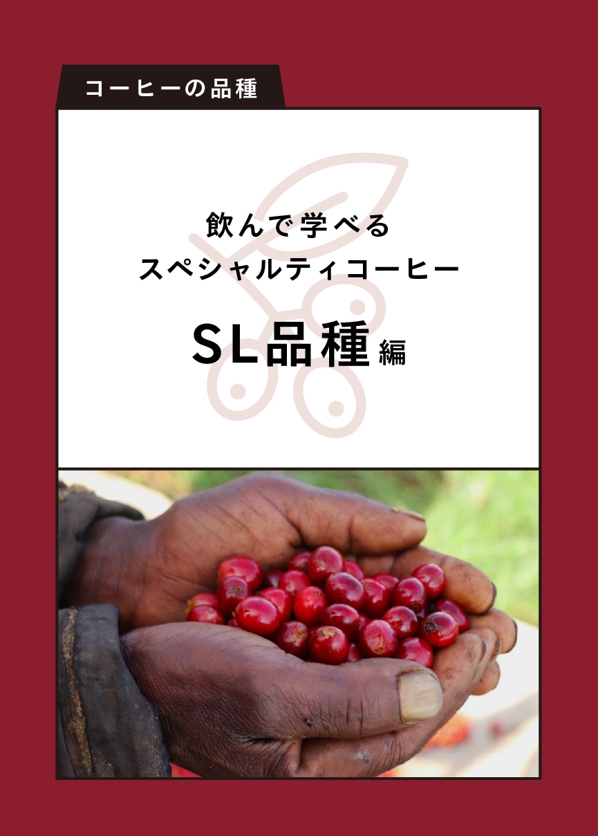 ����ǳؤ٤륹�ڥ����ƥ������ҡ� SL�ʼ���