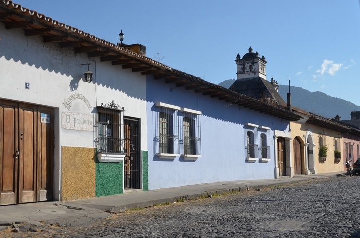 堀口珈琲】 堀口珈琲を支えるサンタカタリーナ農園