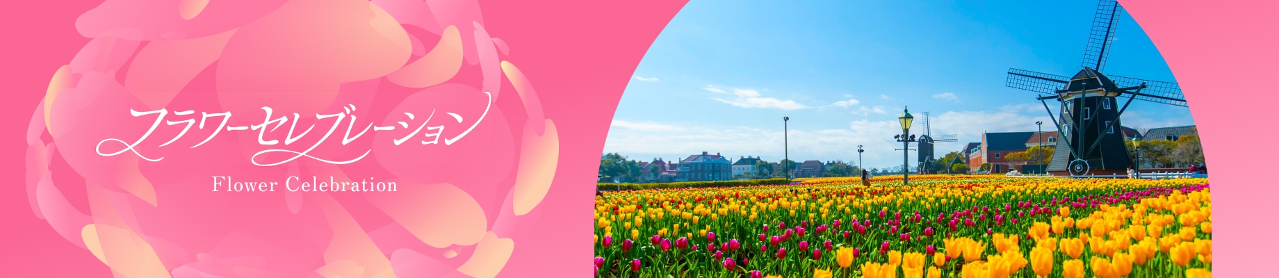 フラワーセレブレーション イメージ画像