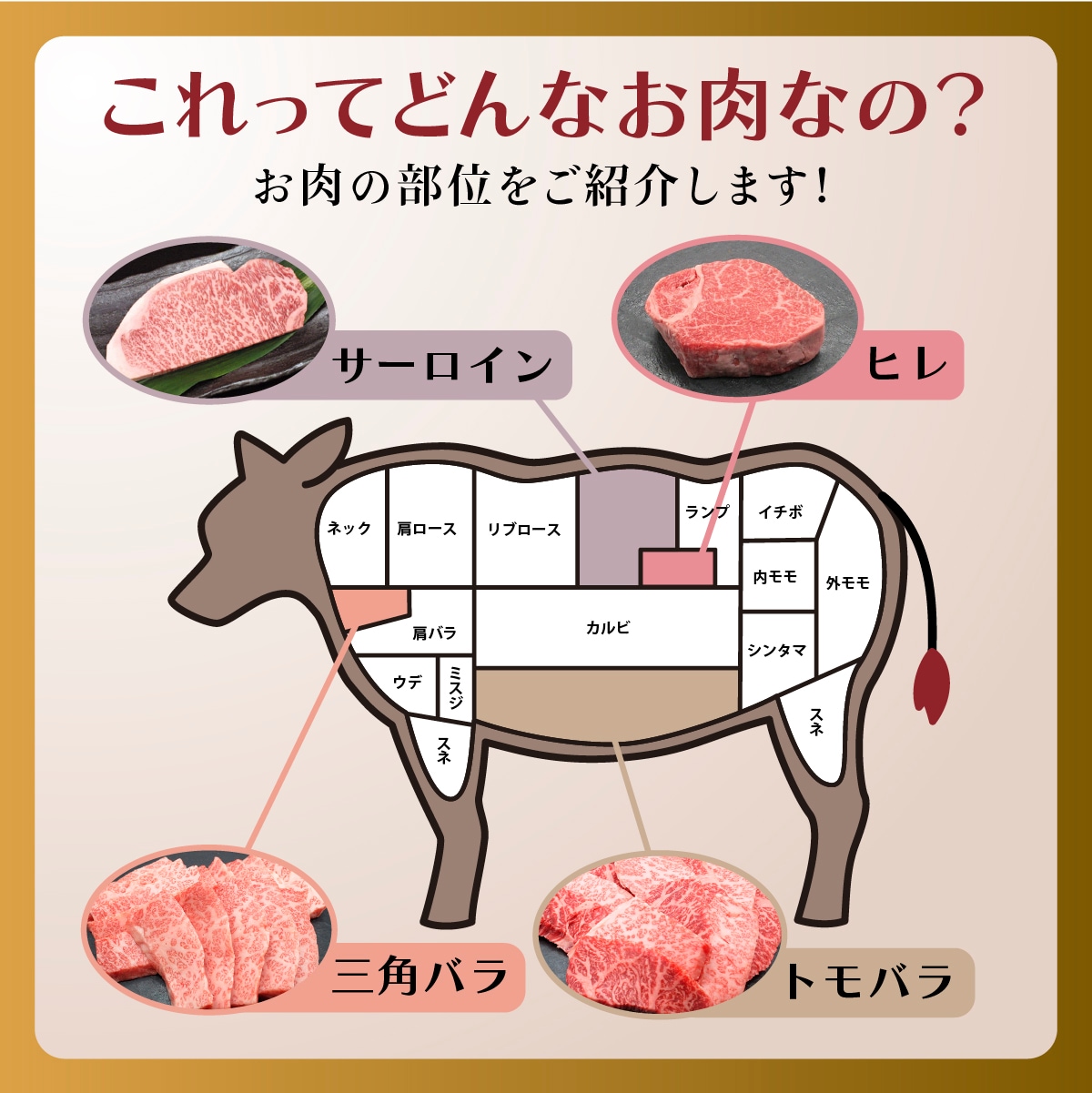 お肉の部位をご紹介します