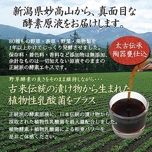 野草酵素 乳酸菌入り 80種の植物醗酵エキス 原液 500ml オーガニックセレクトストアHyperlink