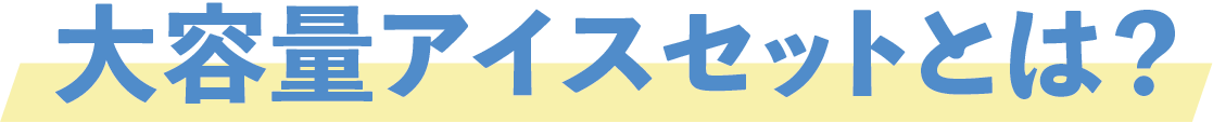 アイス大容量セットとは？