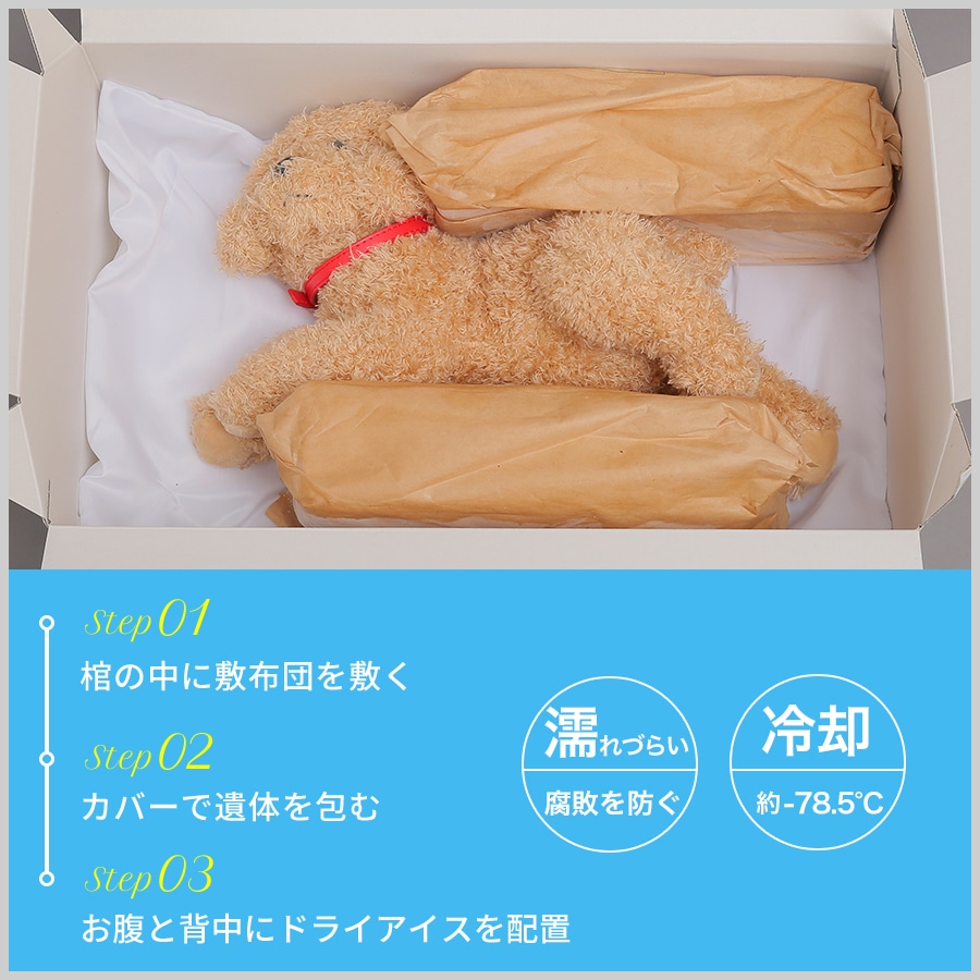 ドライアイスのサイズ