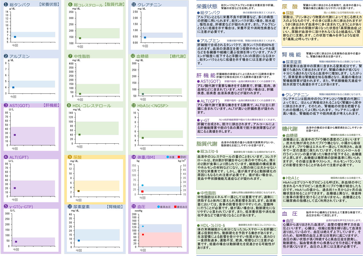 検査キット内容 裏面