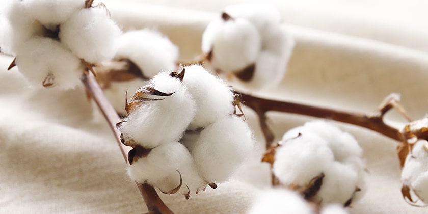 素材と製法へのこだわり