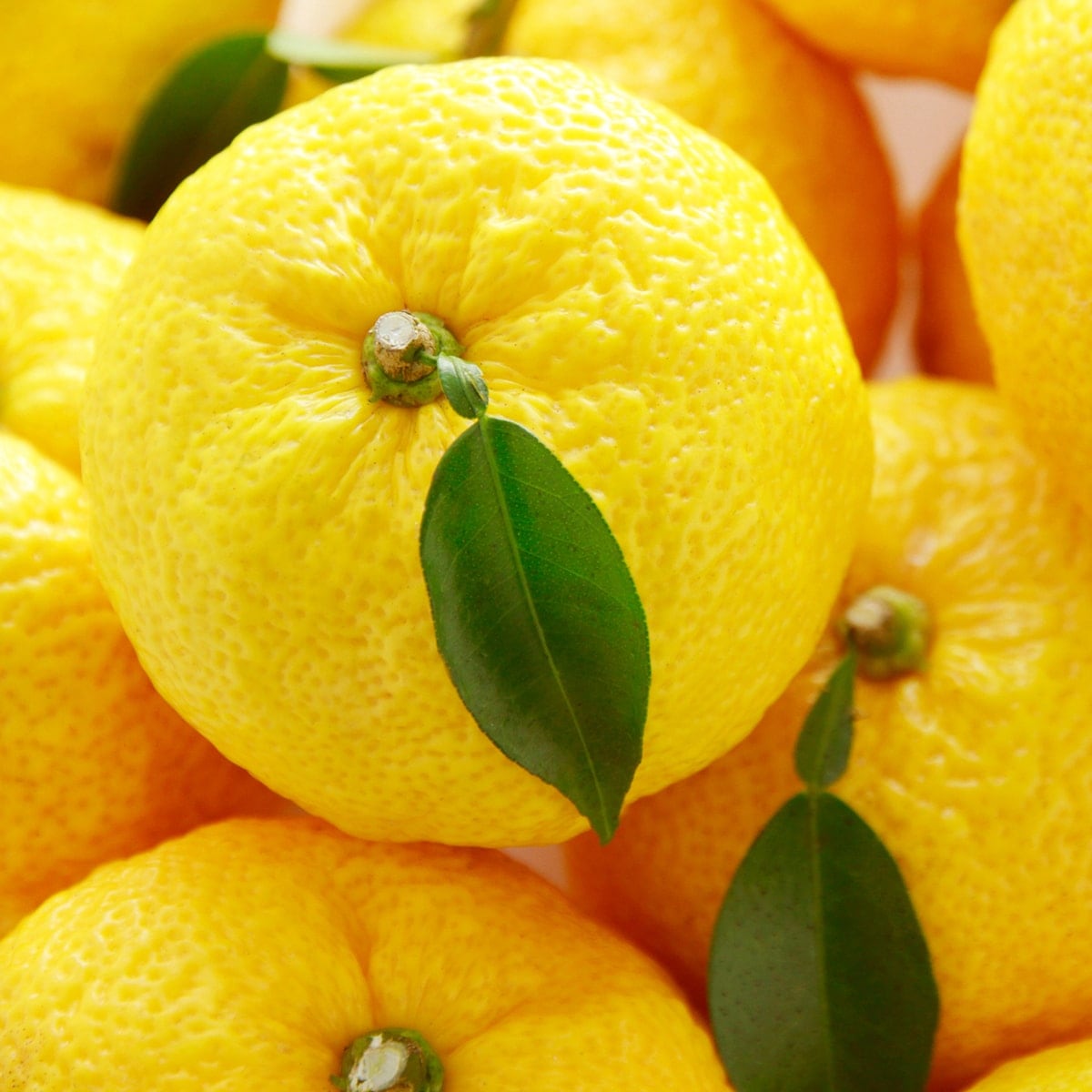 ピローミスト ぴろま 枕用フレグランス 柚子