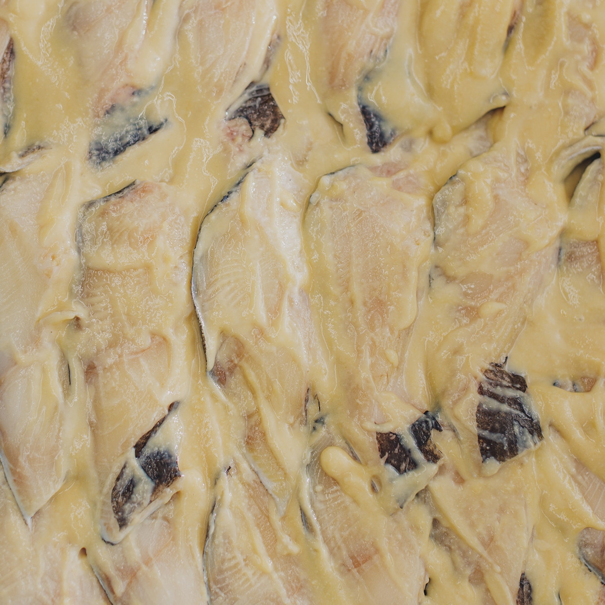 秘伝の西京漬け「蔵みそ漬」