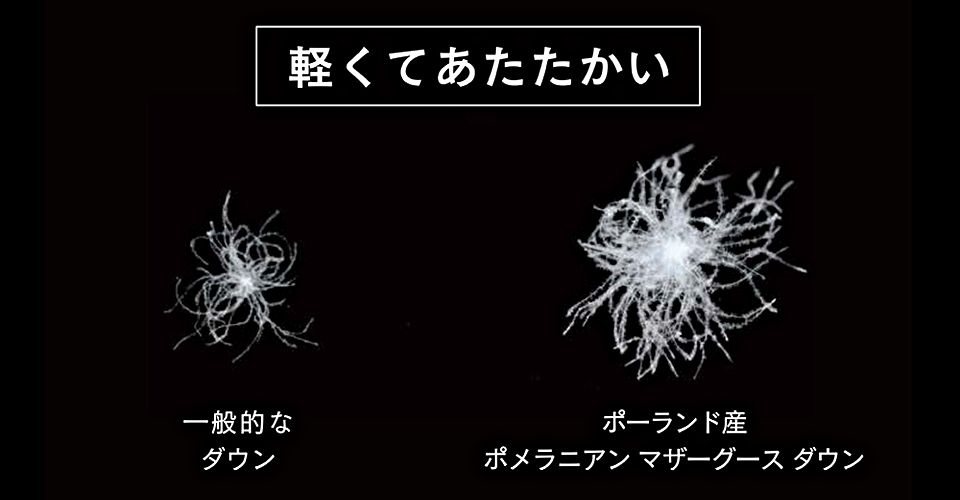 限定特別ご提供品50 引 羽毛布団 ティーナ 肌掛け クイーンサイズ アウトレット リワース横浜在庫品 ｌ 大塚家具 オンラインショップ L Idc Otsuka