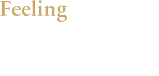 Feeling ˤ䤫ʵʬ