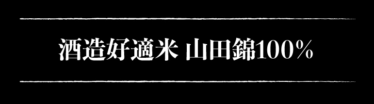 彗 純米吟醸2本セット