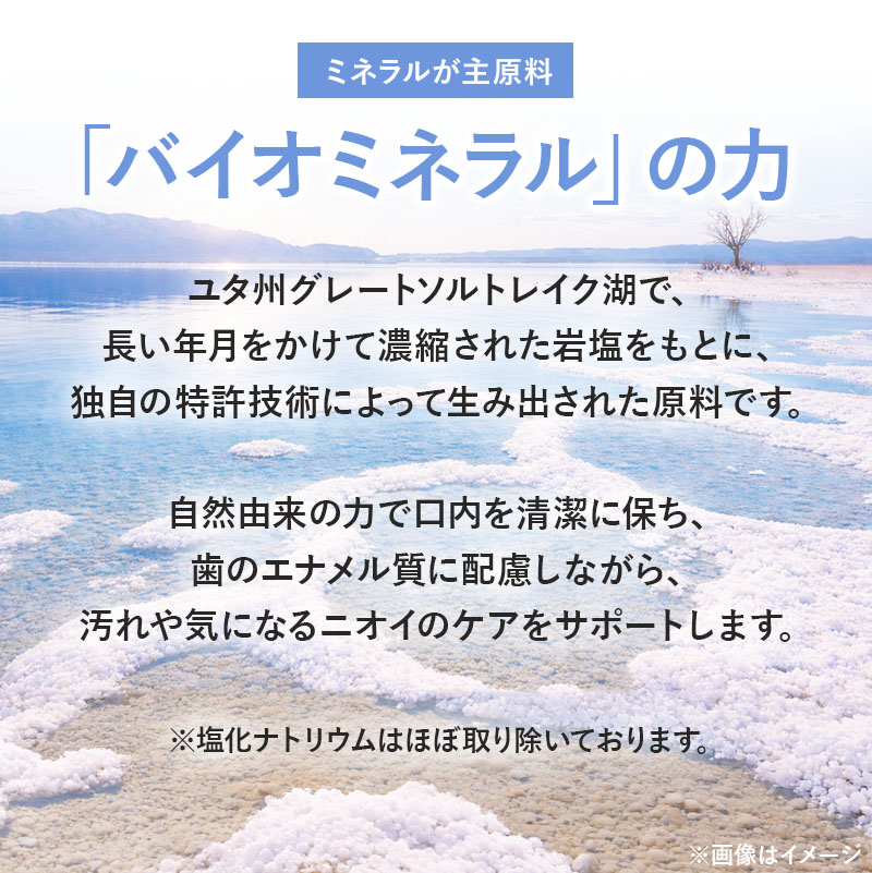 visions ���ꥸ�ʥ� ���᤭�ڡ����� �Х����ڡ����� �롼�� �Х����ߥͥ�����