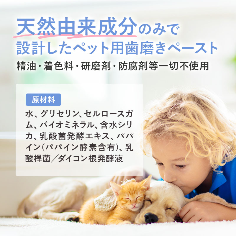 �Х����ڡ����ȥ롼�� ŷ����ʬ�Τߤλ��᤭�ڡ�����