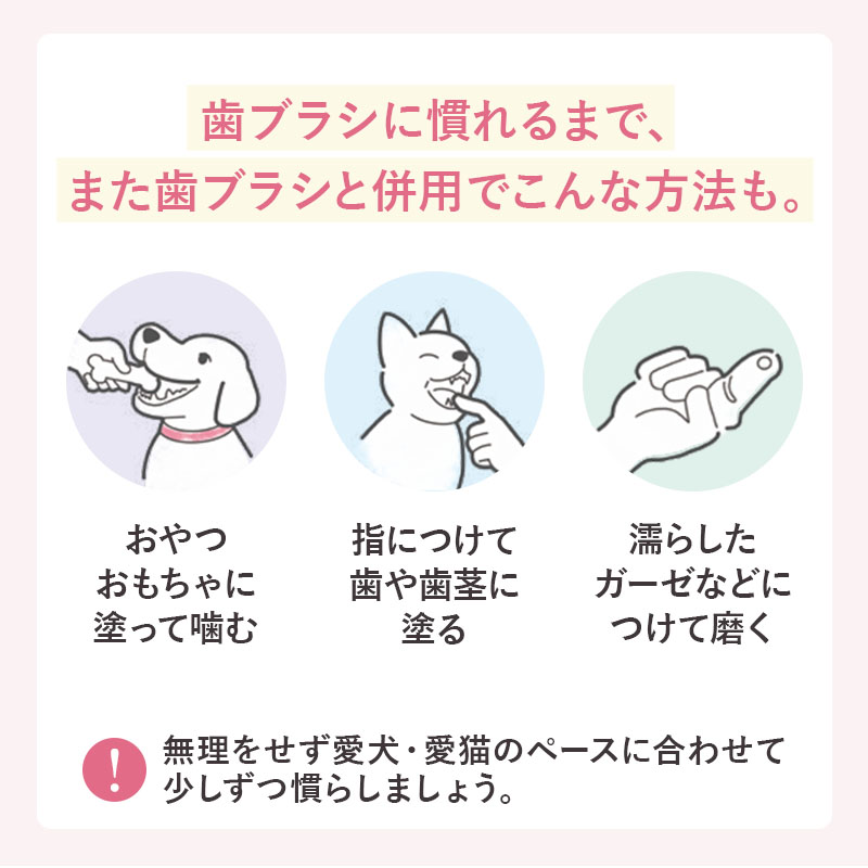 犬用 マウスケア 歯磨き粉 バイオペースト ルース [60g] 天然成分100