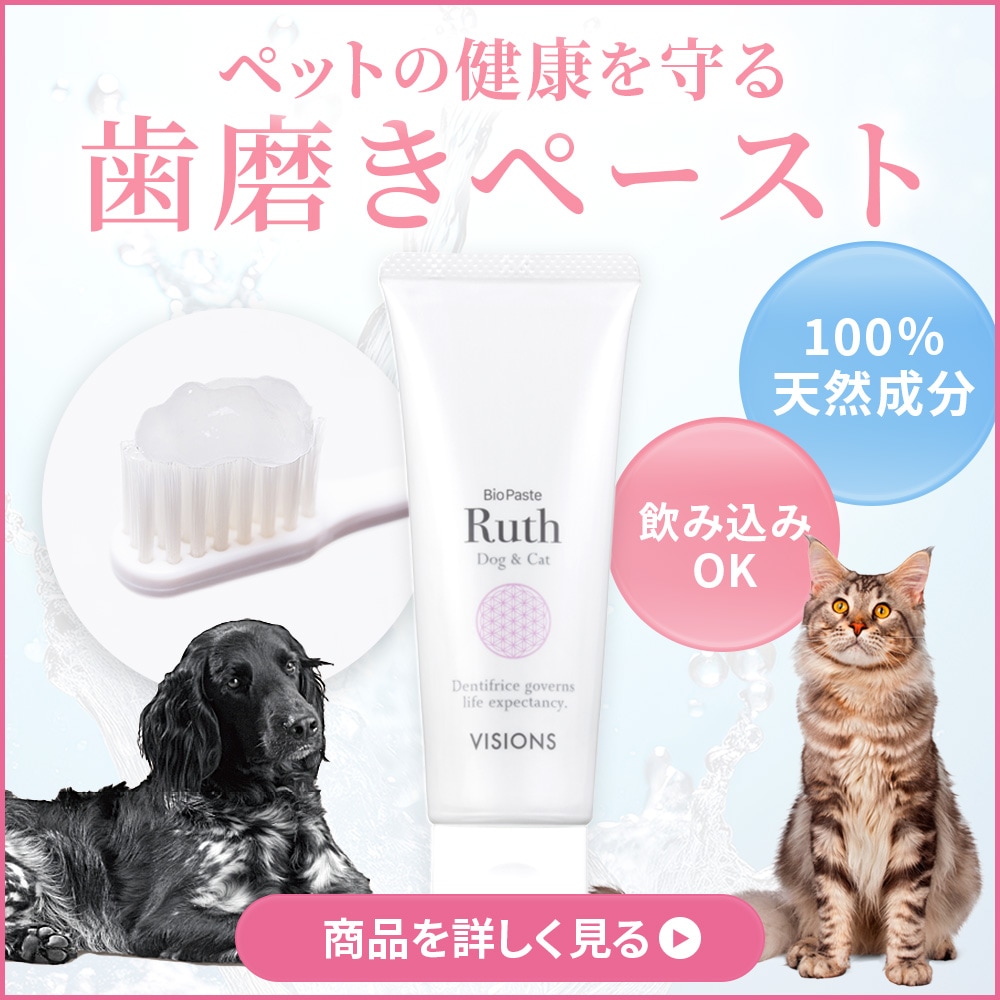 VISIONS �Х����ڡ����ȥ롼��