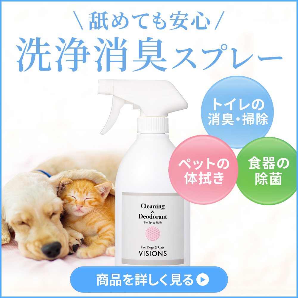 VISIONS �Х������ץ졼�롼��