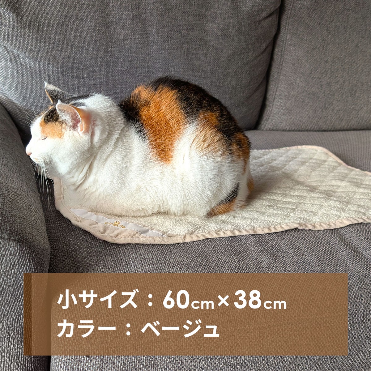 ��������뾮���������ѥ��᡼��