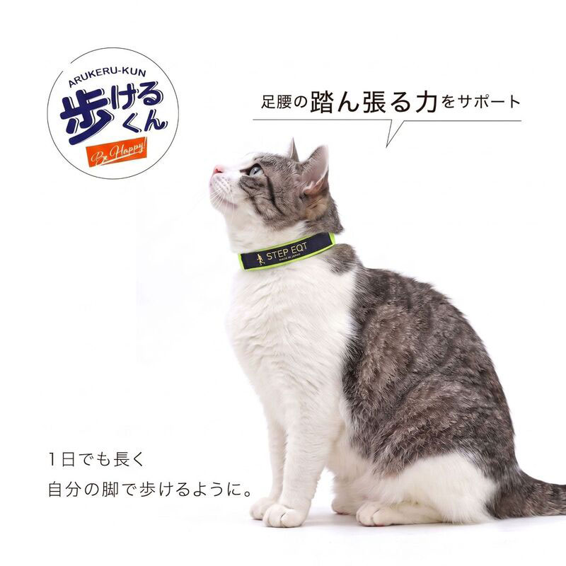 �⤱�뤯��ޥ��å������ץ��᡼��