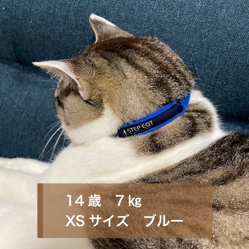 �⤱�뤯��ǭ���ѥ��᡼��