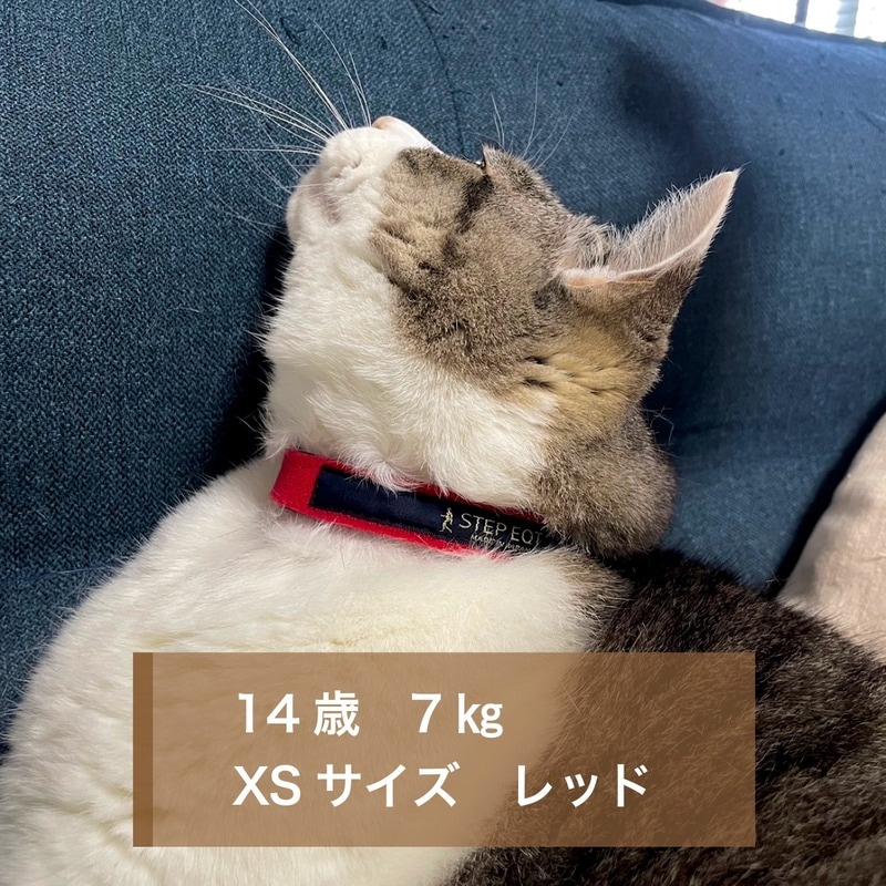 �⤱�뤯��ǭ���ѥ��᡼��