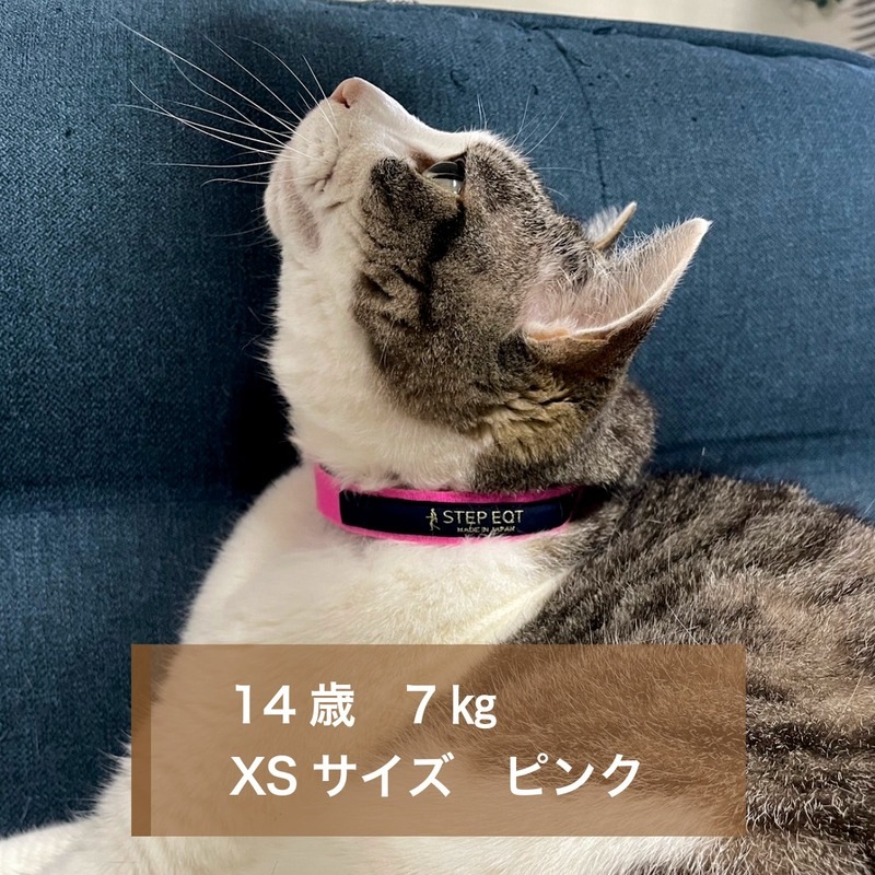 �⤱�뤯��ǭ���ѥ��᡼��
