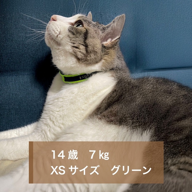 �⤱�뤯��ǭ���ѥ��᡼��